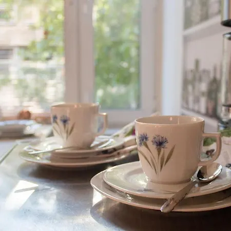 Kotiyksioe Alex Lahti